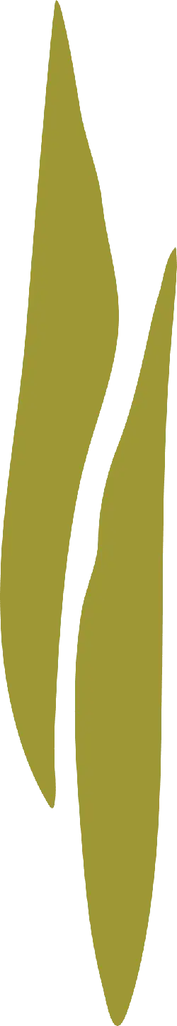 Abstract Shape - minimalist design - green - Free Download PNG
