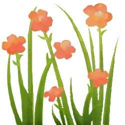 Flowers and Grass - nature - No Background PNG
