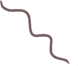 Brown Zigzag Line - graphic design - No Background PNG