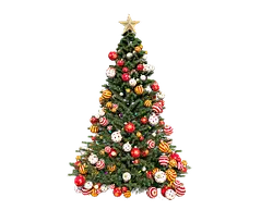 Christmas Tree - Curated PNG - happiness