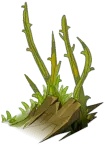 Grass Patch - growth - grass - No Background PNG