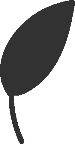 Leaf - Free for Commercial Use PNG - ecology