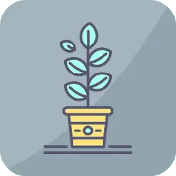 Potted Plant - growth - green - No Watermark PNG