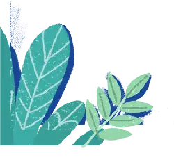 Green Plant - nature - art - PNG