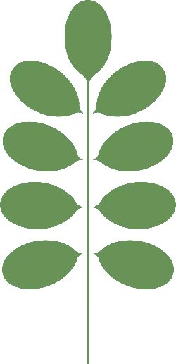 Leaf Pattern - simple - symmetrical - High Resolution PNG