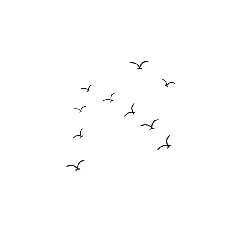 nocturnal animal - Black Owl - Transparent Layer PNG