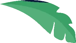 Green Leaf - Transparent Layer PNG - nature