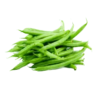 Snap Bean - Free Download PNG