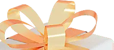 Gift Bow - celebration - PNG Images