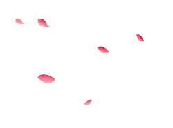 Pink Petals - No Watermark PNG - nature