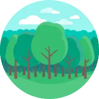 Forest - sky - Lossless PNG
