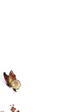 Yellow Butterfly - night - No Background PNG