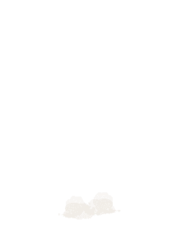Cat - jumping - pet - No Background PNG