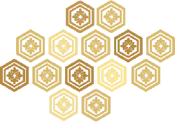 Hexagon Pattern - decorative - No Background PNG
