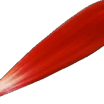 Red Petal - Popular Download PNG