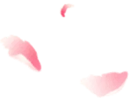 Feather - gradient - Lossless PNG