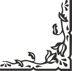 Vine Pattern - frame - Lossless PNG