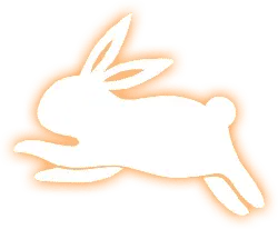 Jumping White Rabbit - jumping - High Resolution PNG