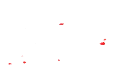 Rose Petals - red - romantic - Free PNG