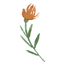 Orange Flower - stem - High Resolution PNG