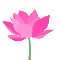 Pink Lotus Flower - Highly Rated PNG
