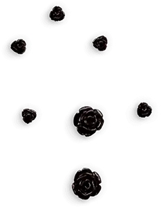 Rose - romantic - Transparent Layer PNG