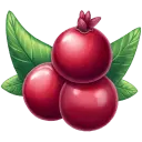Pomegranate - High Download Count PNG - healthy