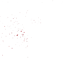 Red Flowers - nature - Free Download PNG