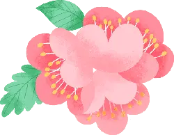 Peach Blossom - PNG Images - Transparent Background PNG