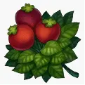 Apple Tree - leaves - tree - High Resolution PNG