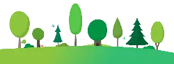 Green Forest Landscape - nature - Lossless PNG