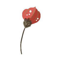 Red Flower - nature - Designer's Pick PNG