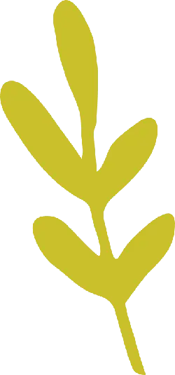Yellow Leaf - branch - PNG Images