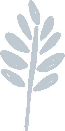 Leaf - plant - Free for Commercial Use PNG