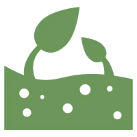 Sprouting Plant - Designer Recommended PNG