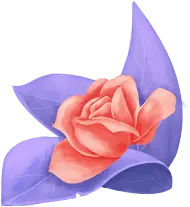 Rose - violet - beautiful - No Background PNG