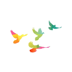 Colorful Birds - color - Free PNG