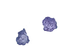 Purple Flowers - No Watermark PNG