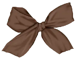 Ribbon Bow - brown - No Background PNG