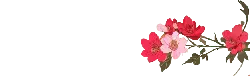 Rose - plant - Highly Rated PNG