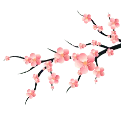 Cherry Blossom - Fast Download PNG - nature - Pic 3