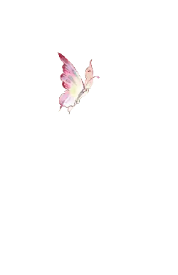 Pink Butterfly - nature - butterfly - Transparent Layer PNG
