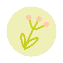 Three Petal Flower - pink - High Resolution PNG
