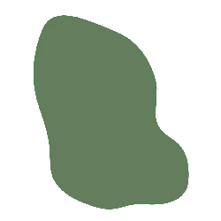 Green Irregular Shape - artwork - High Resolution PNG