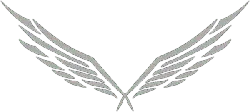 Silver Wings - power - PNG