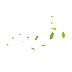 Falling Leaves - falling - Transparent Background PNG