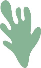 Green Abstract Shape - Designer Recommended PNG