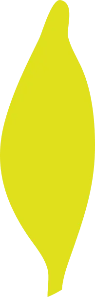 Yellow Abstract Shape - Trending PNG