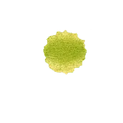 Yellow Green Circular Object - object - No Watermark PNG