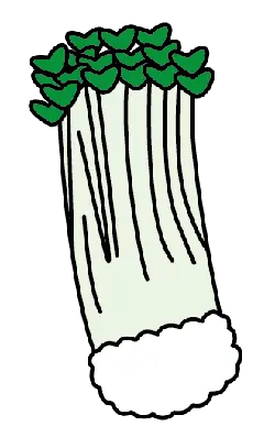 Celery - green - Designer Recommended PNG